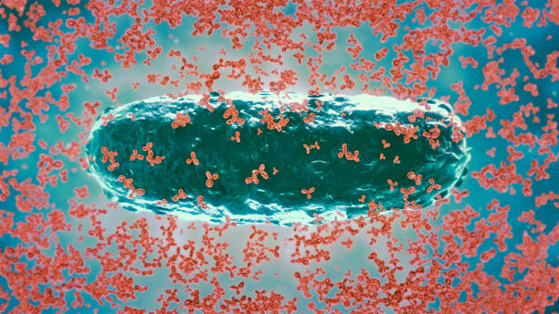 patient safety
EVS
cross contamination